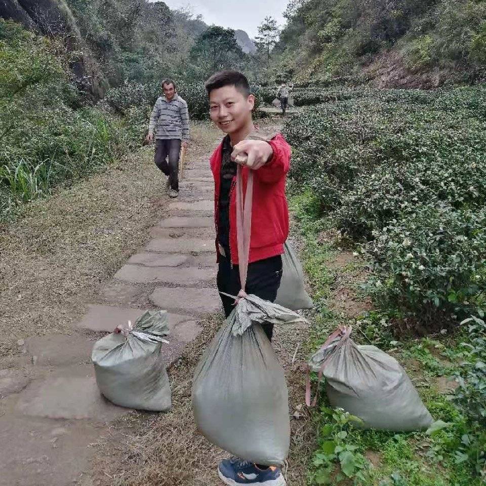 红锋茶厂小薛13799303516