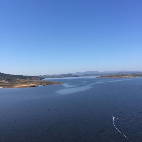 小学生