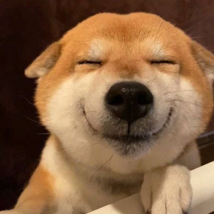 徒步小白鞋🍊