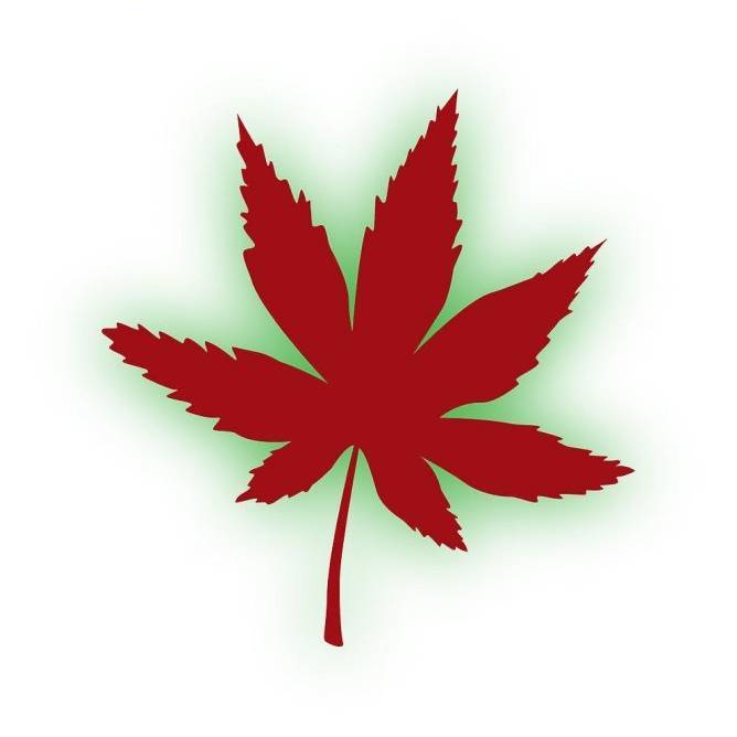 新农人老丁