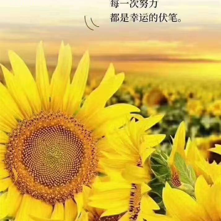 用戶頭像