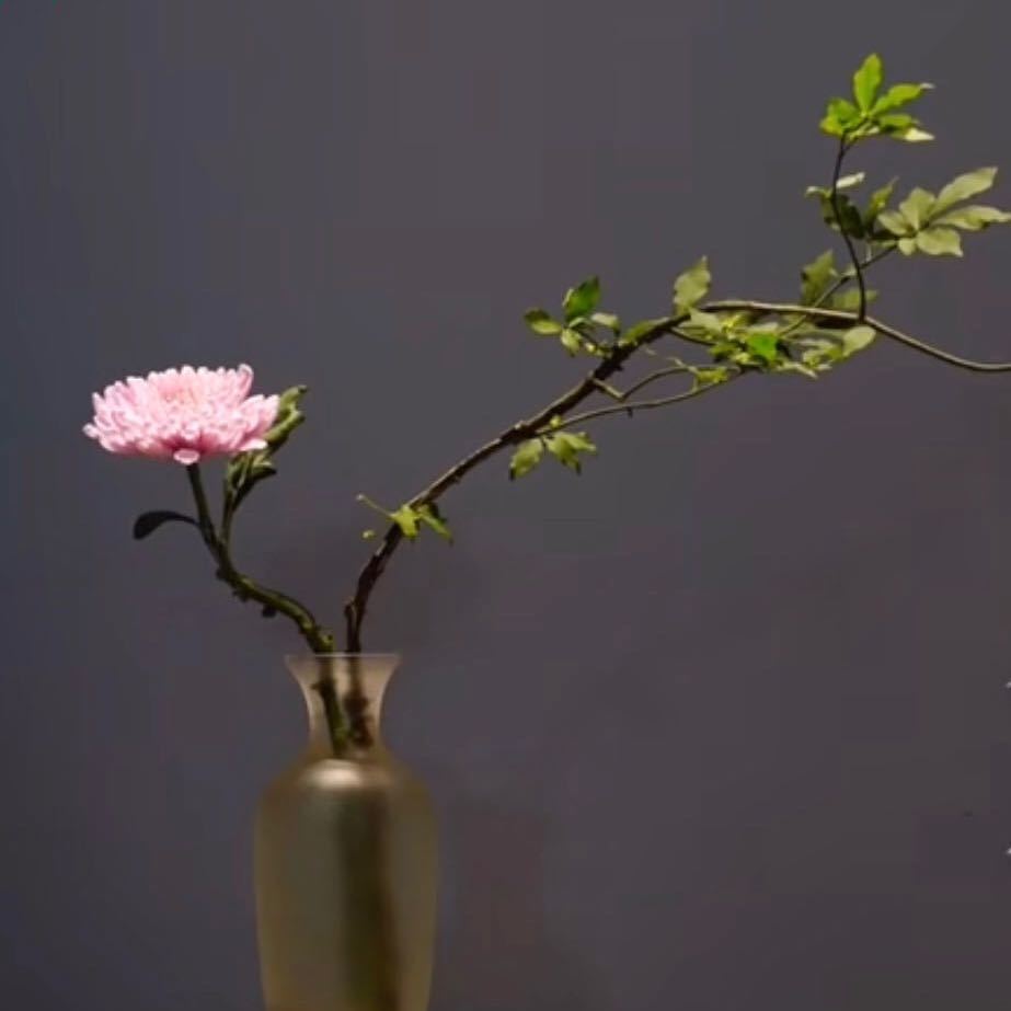 用戶頭像