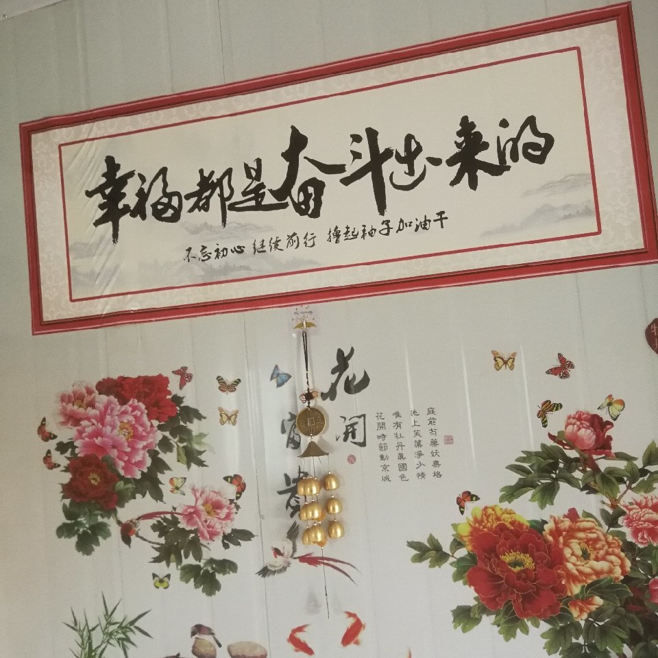 周五茶哥
