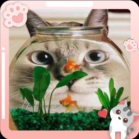 薄建芬