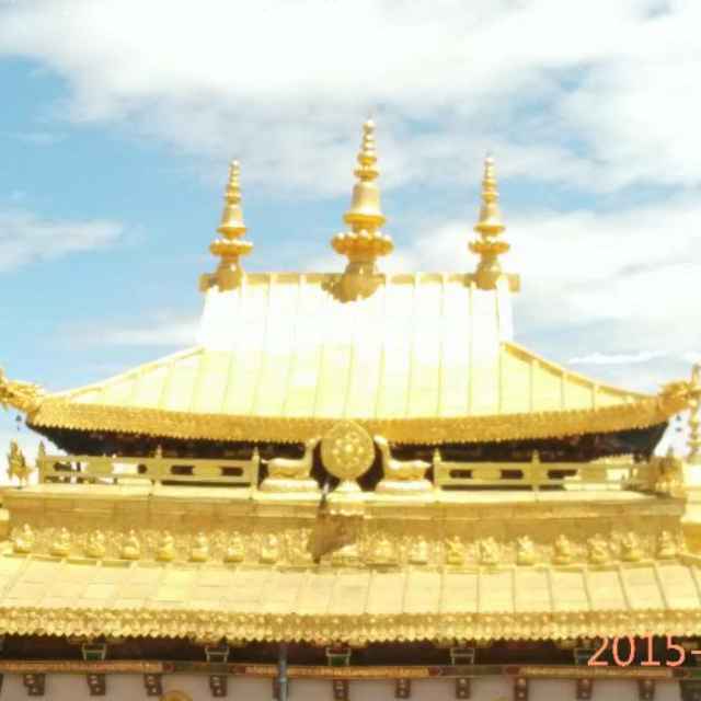 军中亮剑（庞＊龙）