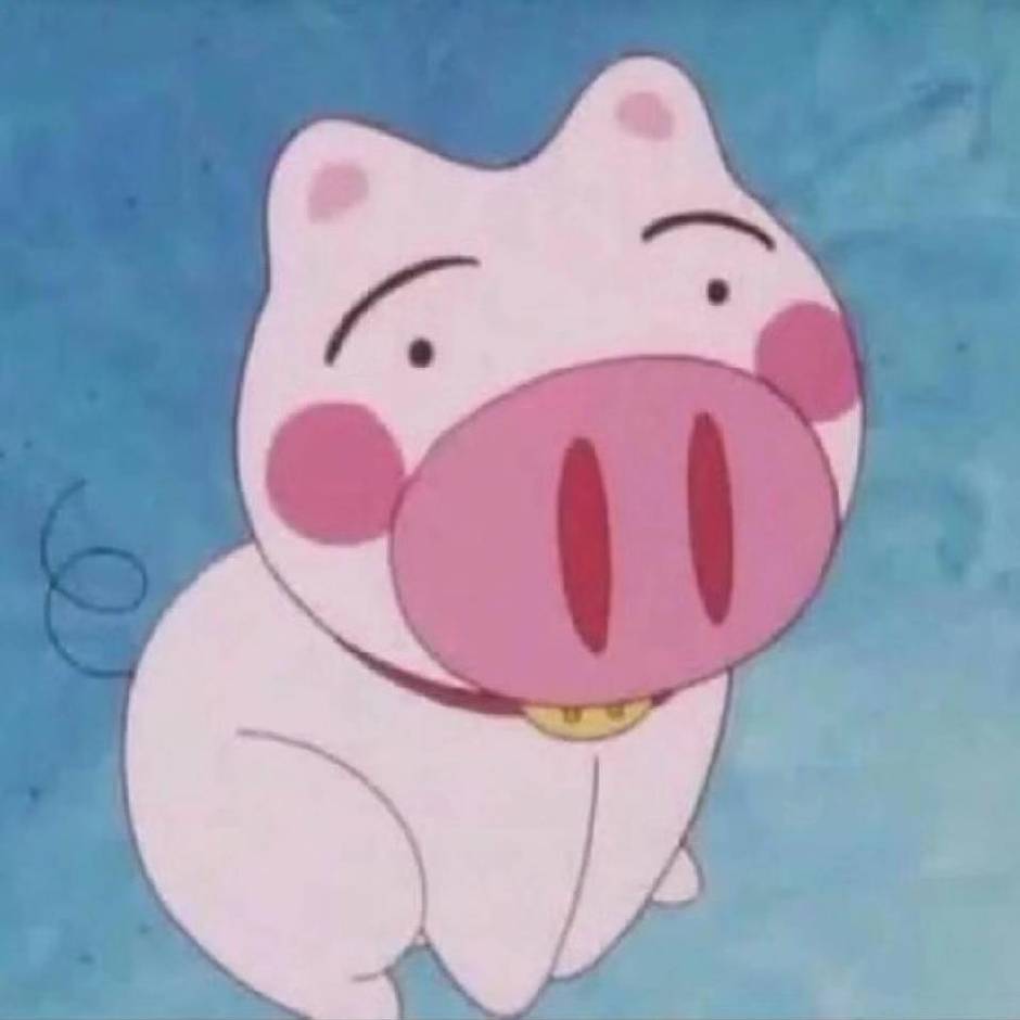 晴天小猪