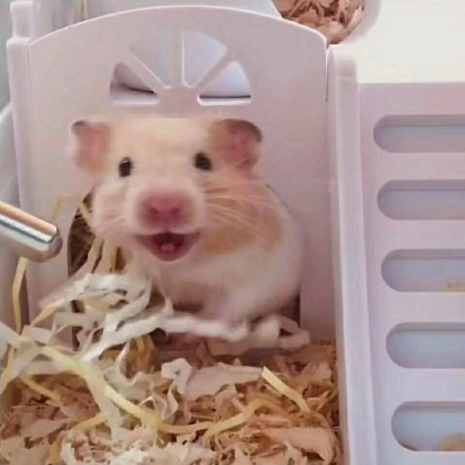 阿沅