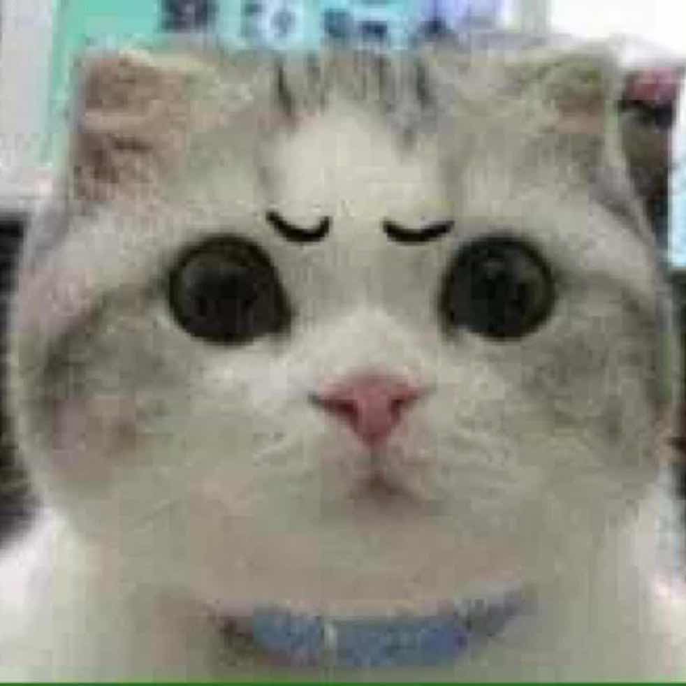 zhanghf