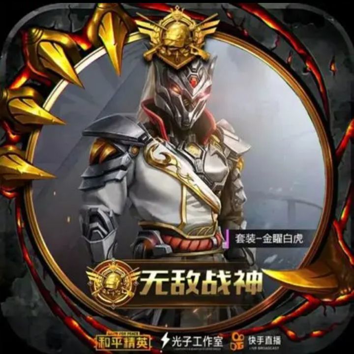 和平精英的皮肤