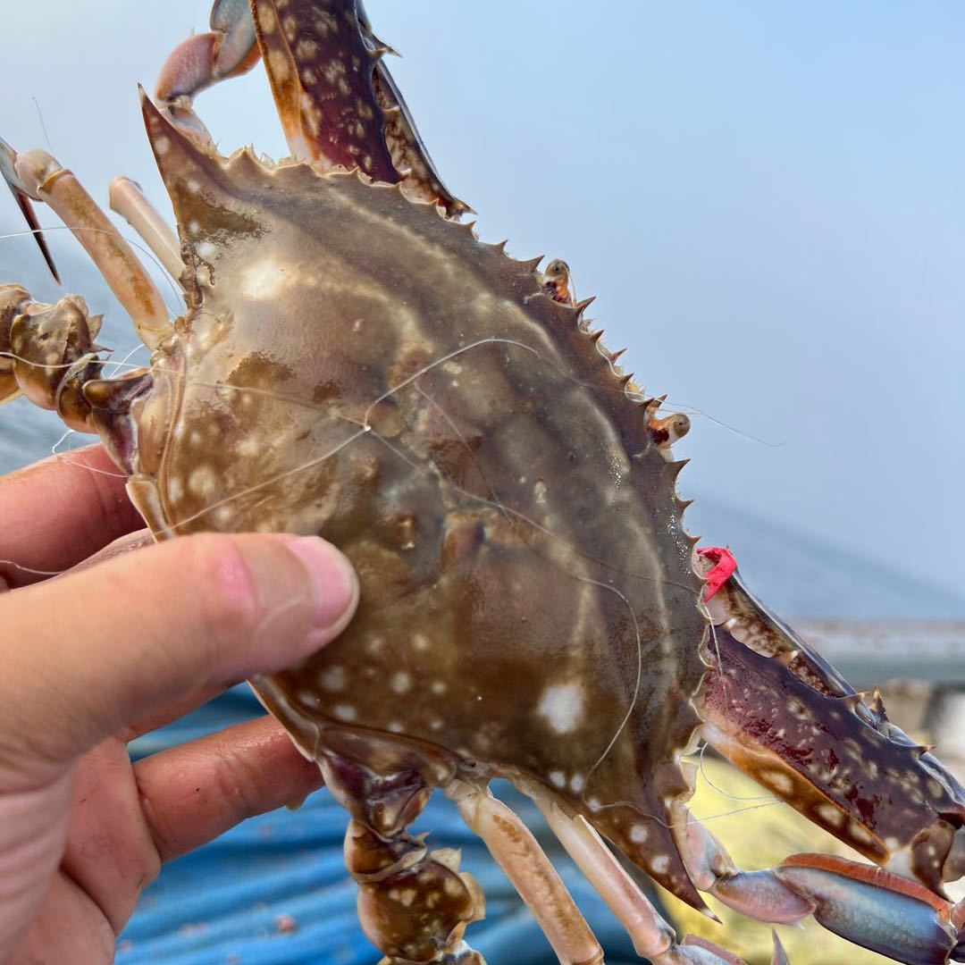雯心海鲜水产批发