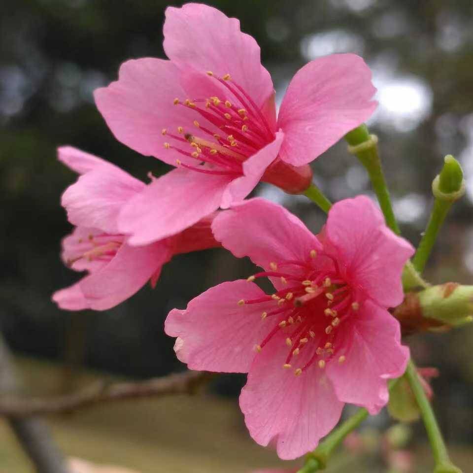 用戶頭像