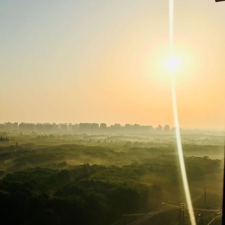 豆浆油条蓝胖纸