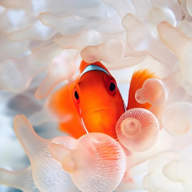 小郭海水