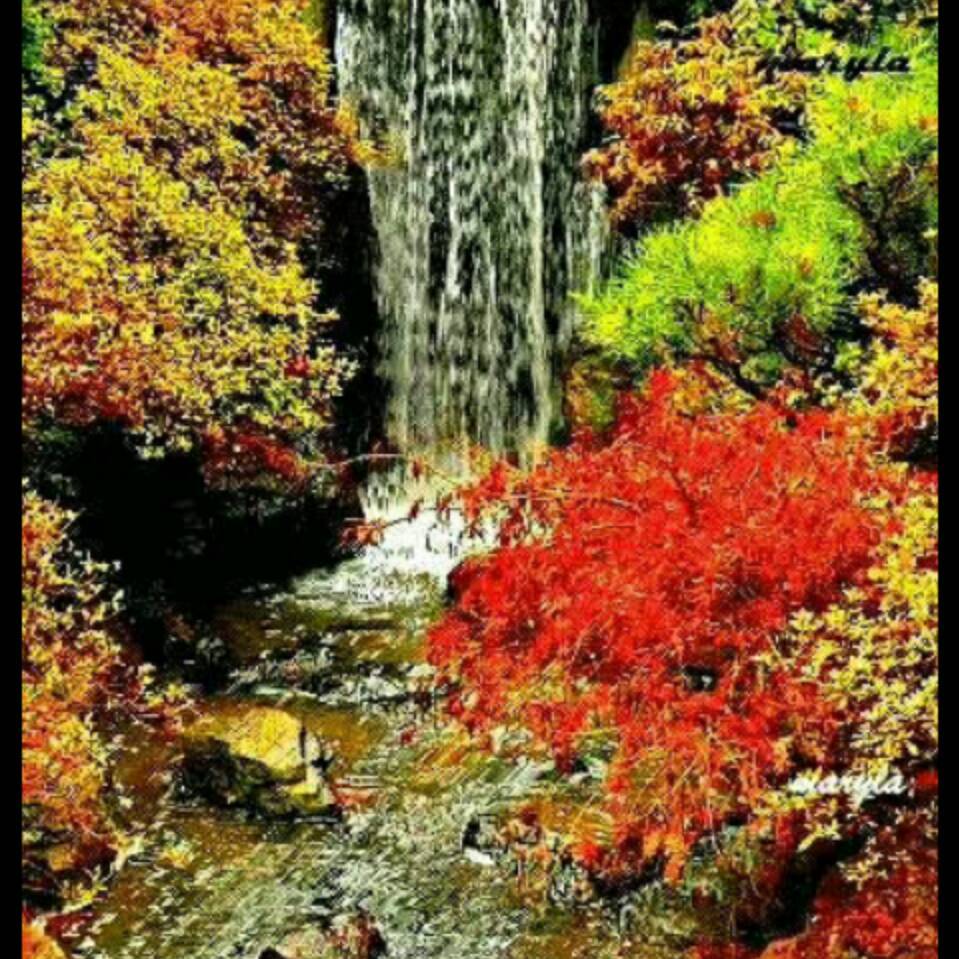 努尔买买提13319977846