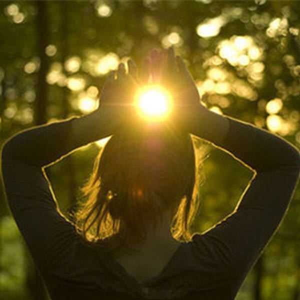 每天学点经济学