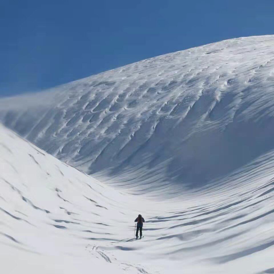 陈海敏