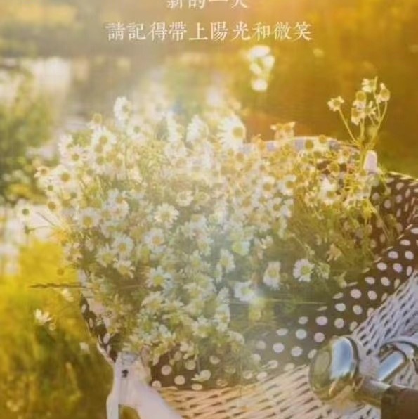 用戶頭像