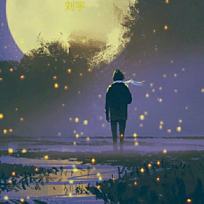 I 夏 荷兰