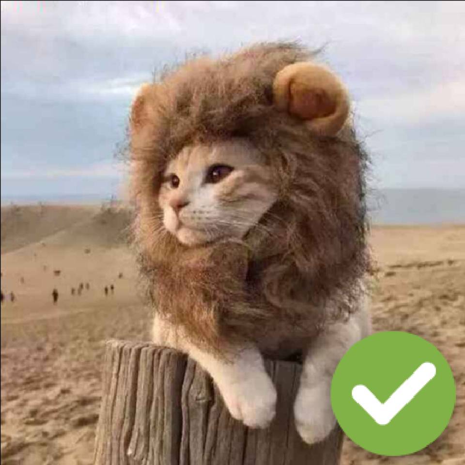 PaperLion