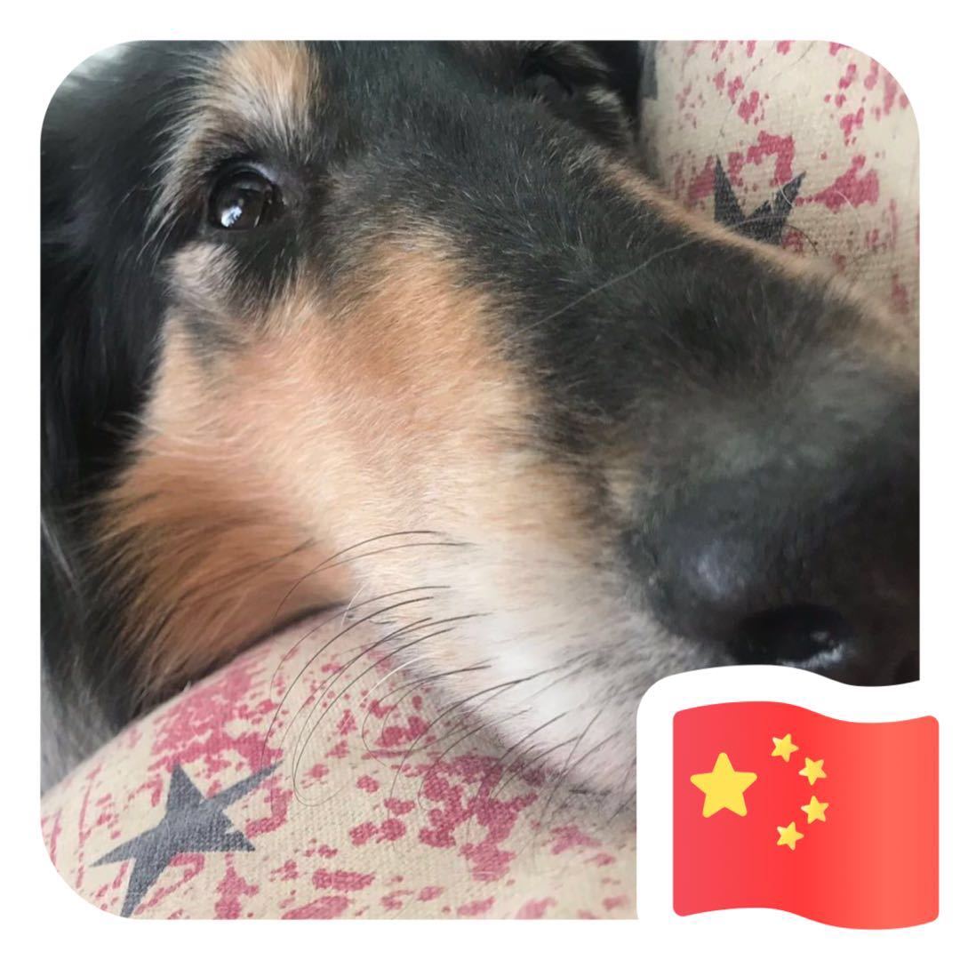寒秋