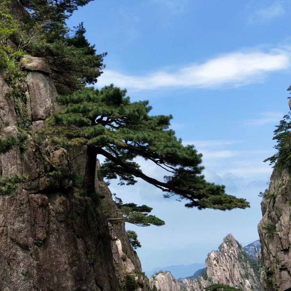 用戶頭像