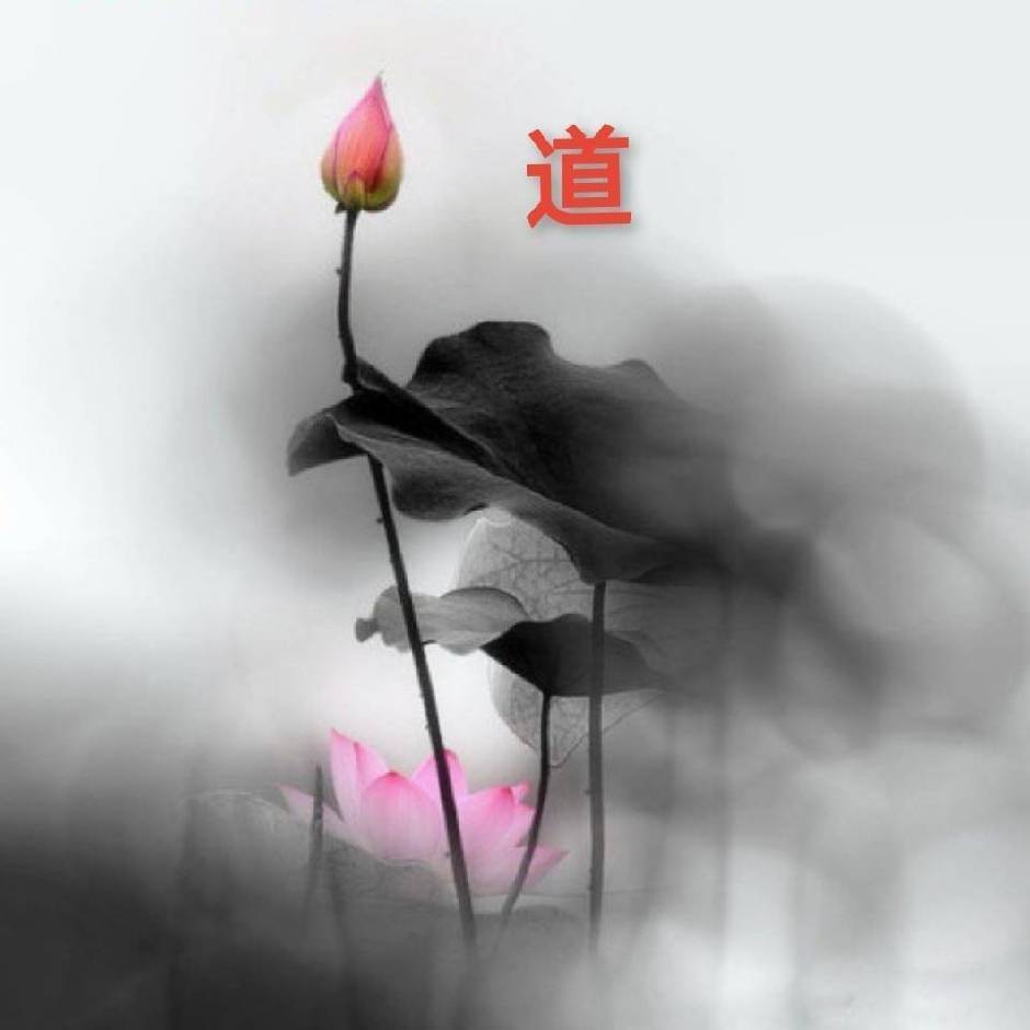 毛志锋