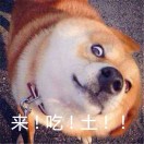 桂花香水