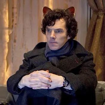 我正通往理想国