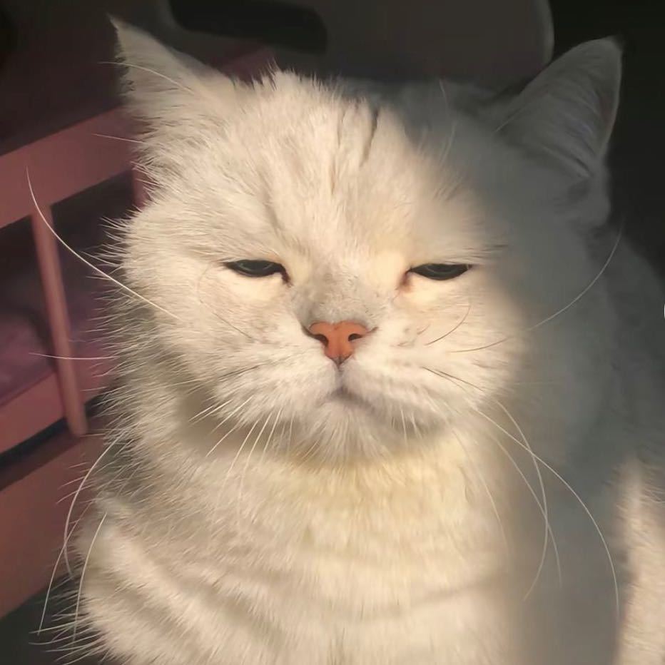 别怕鸭，我是坏人