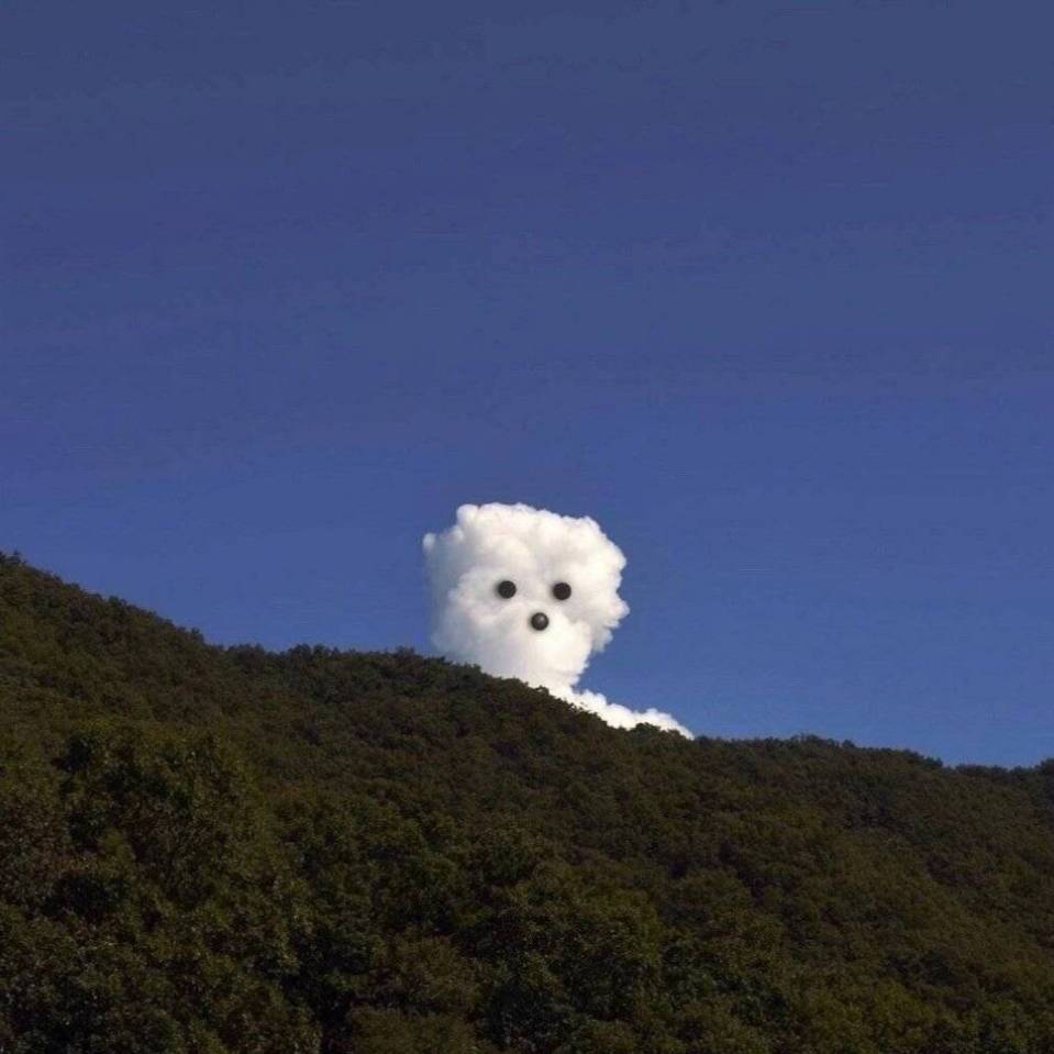 梦倦