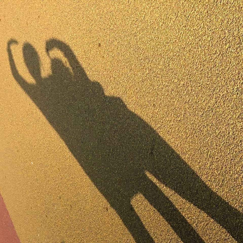 静