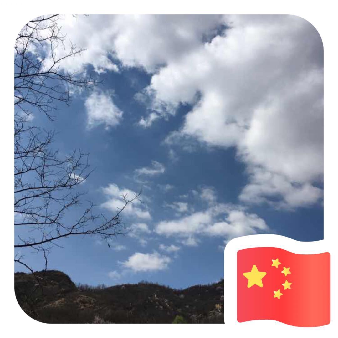 王志