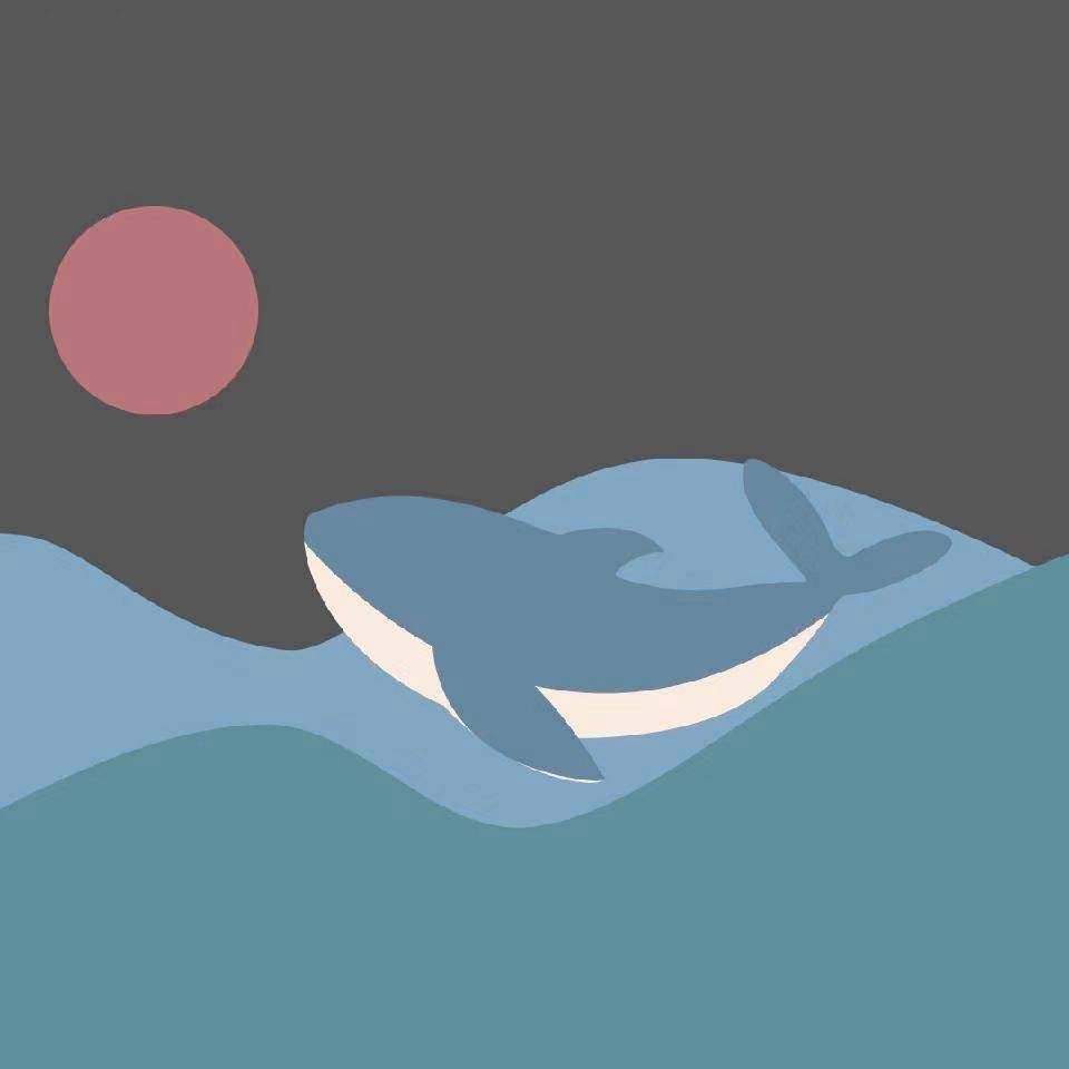 吃金的金枪鱼🦈