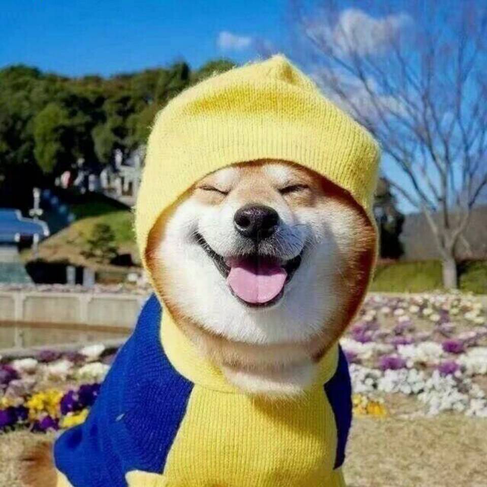 阳光正好