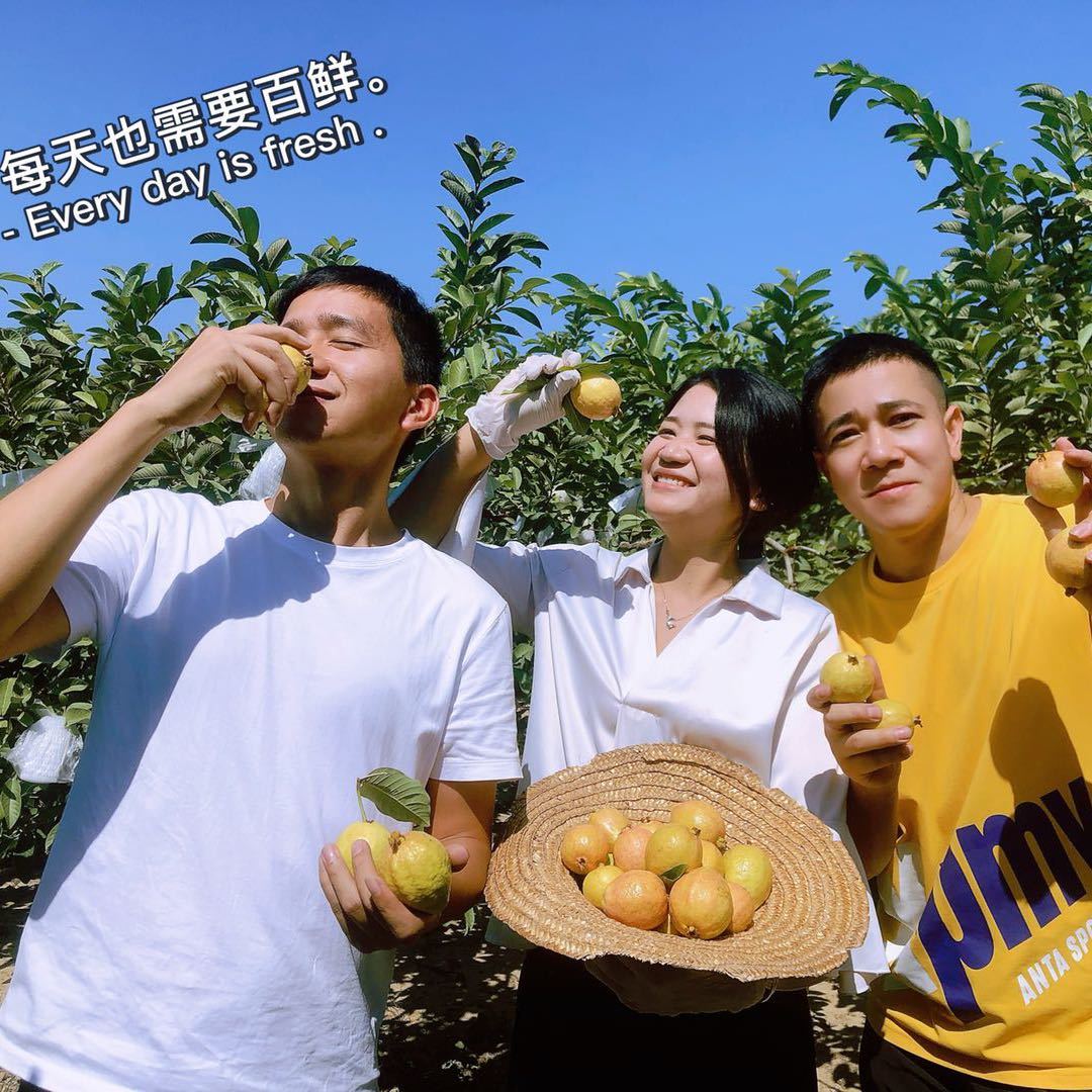 想荔了【百鲜农业】