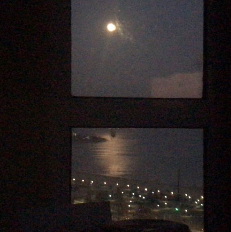 爪是凤爪的凤