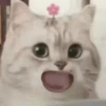 走走