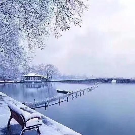 爱吃橙子的菜牙