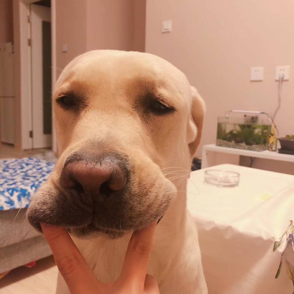 卖女孩的小火柴