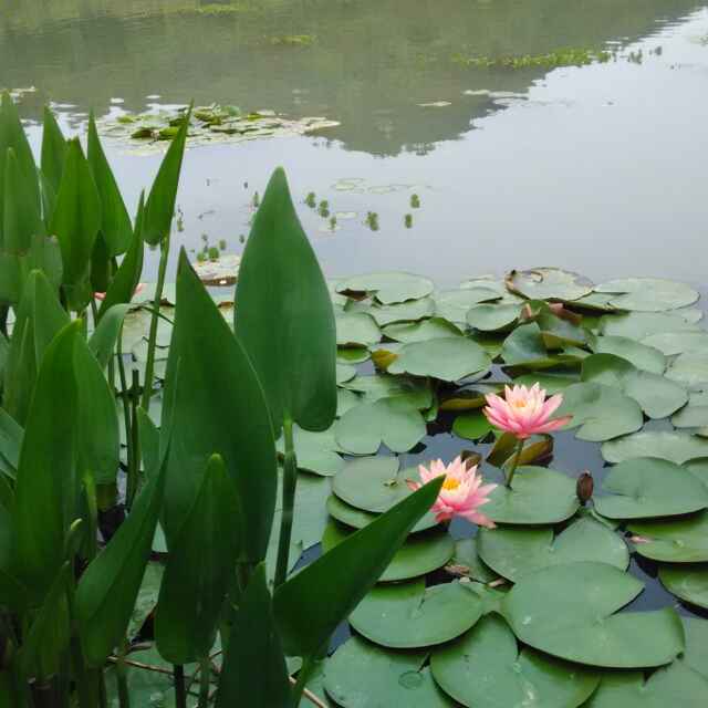 浙江牛头山神仙居方岩18960006681