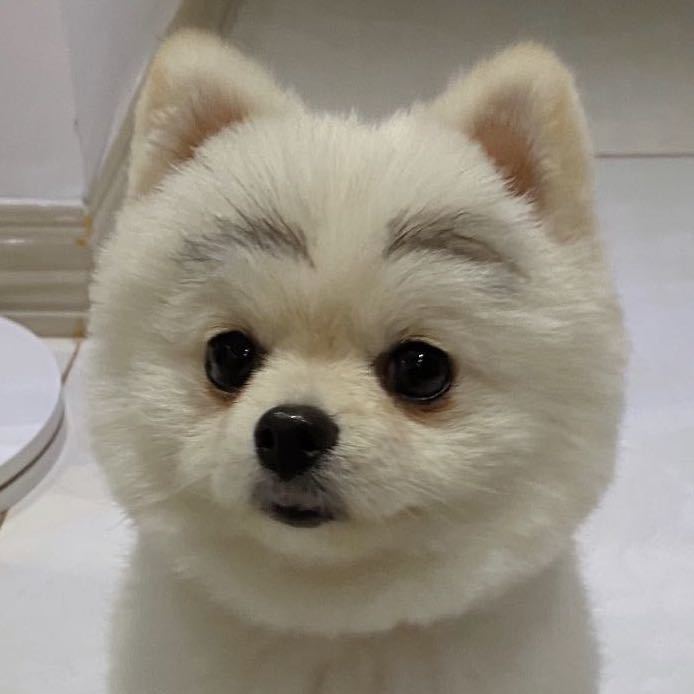 衡聪明