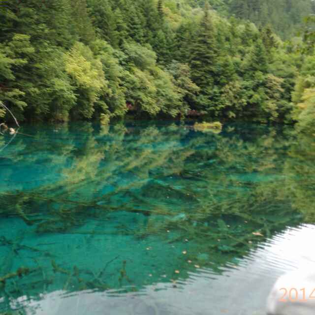 用戶頭像