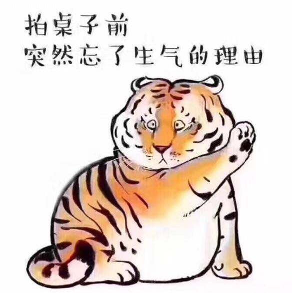 王卫