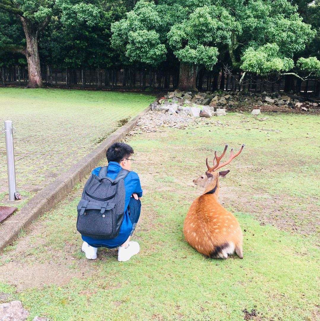 王朝晖