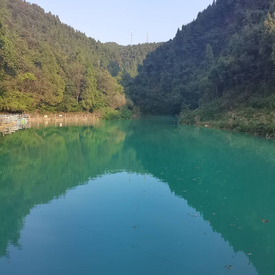 贺家泉