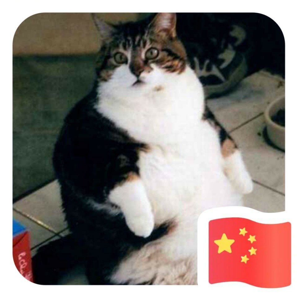 默竹袁