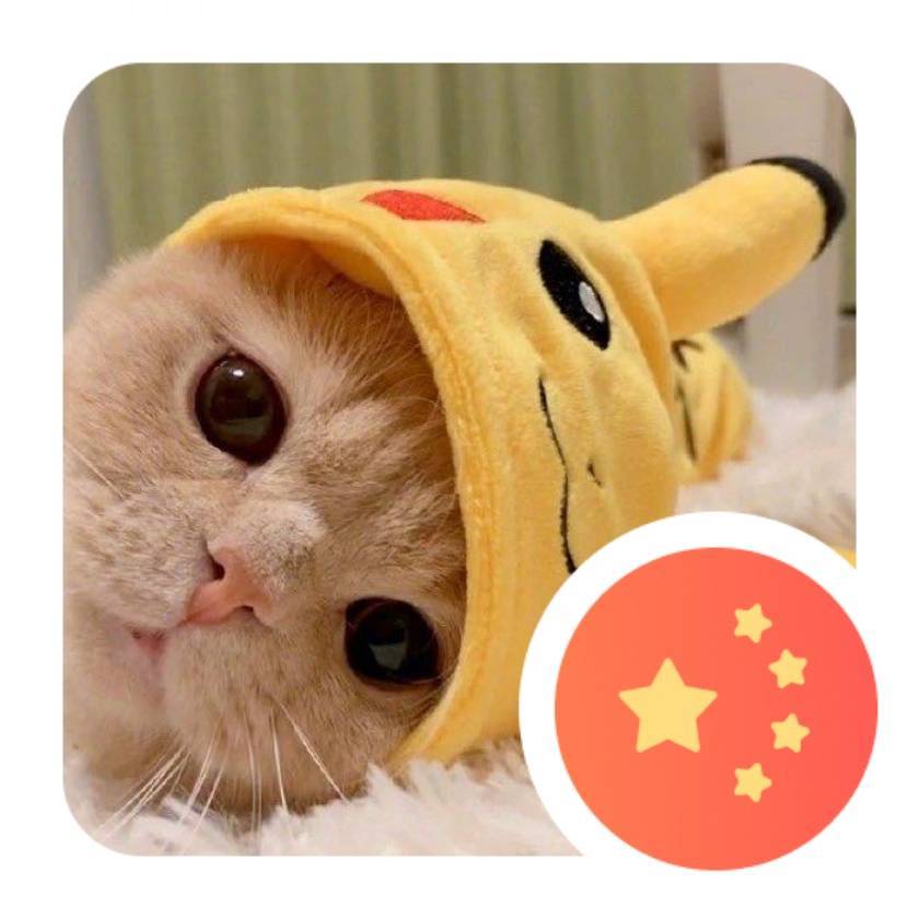 YU小ོ 燕ོ🐝