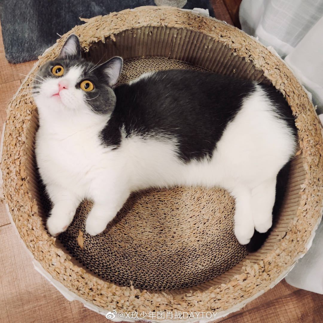 用戶頭像