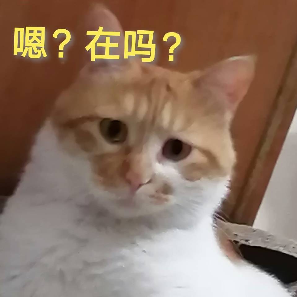 大宝小宝小崽哼哼贝贝