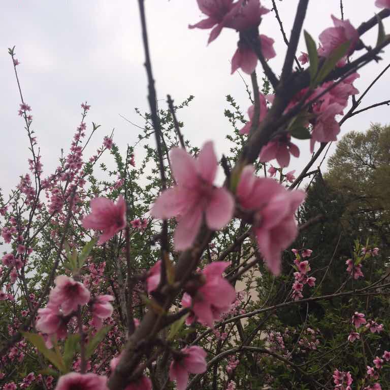 高宁